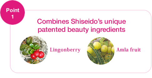 thanh-phan-smoothie-collagen-shiseido-gioi-thieu