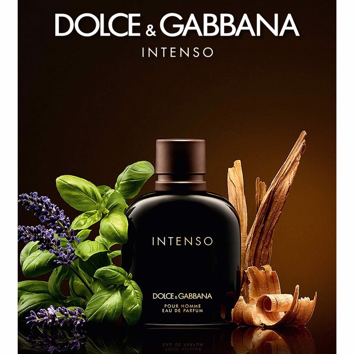 nuoc hoa nam dolce gabbana pour homme intenso edp