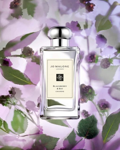 mui huong nuoc hoa nu jo malone blackberry bay cologne review