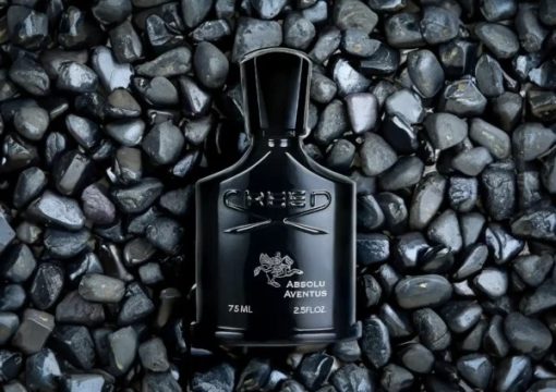 Absolu Aventus Creed Review